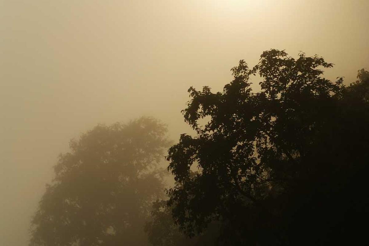 الوضع السياسي في اليمن - 10