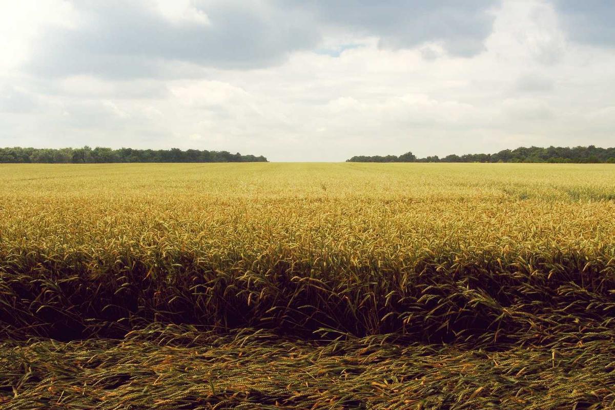 الأزياء التقليدية - 10