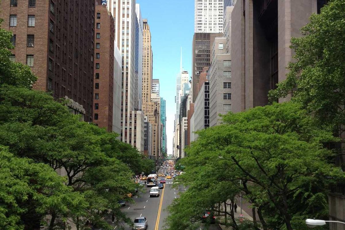 الحوثيون والصراع - 17