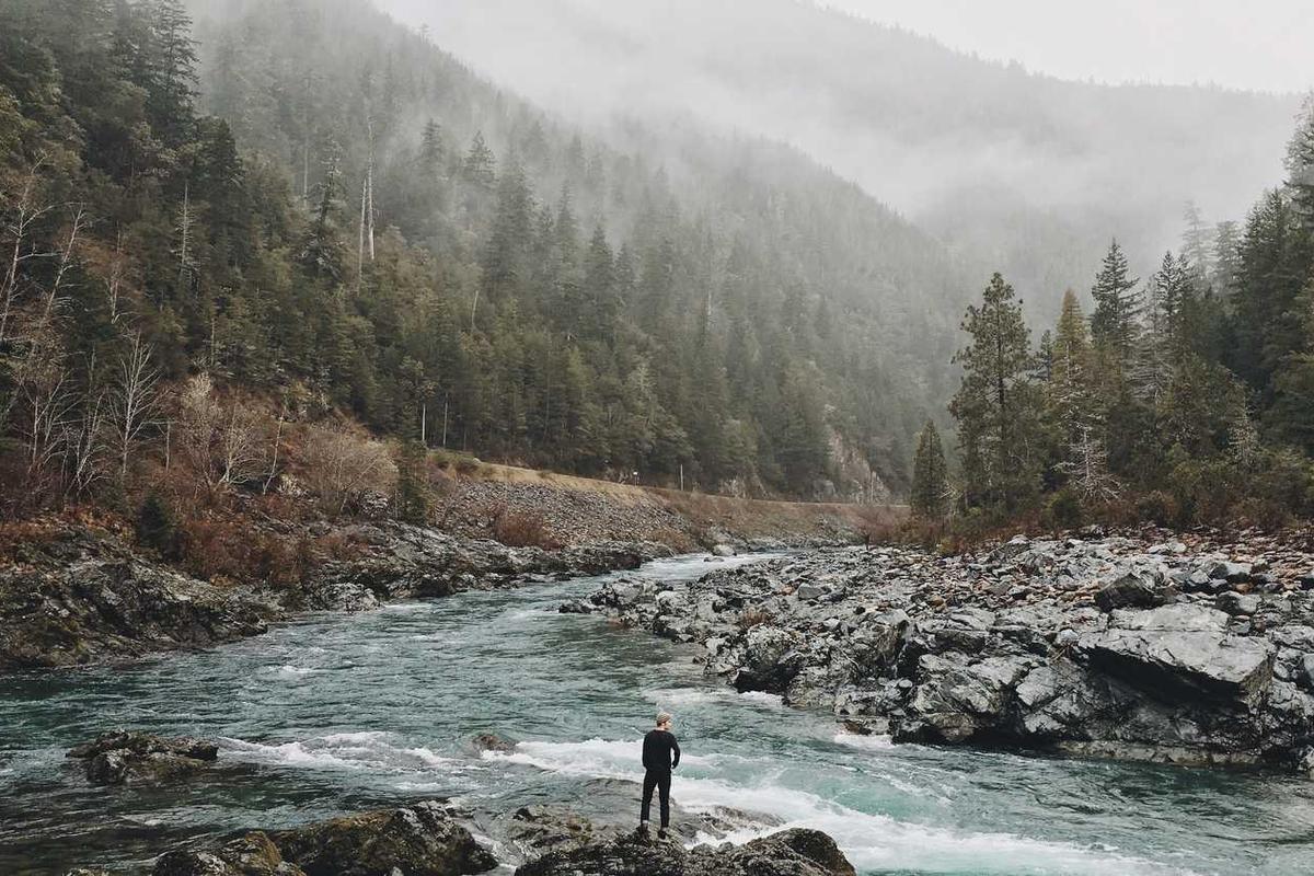 الانتخابات في اليمن - 18