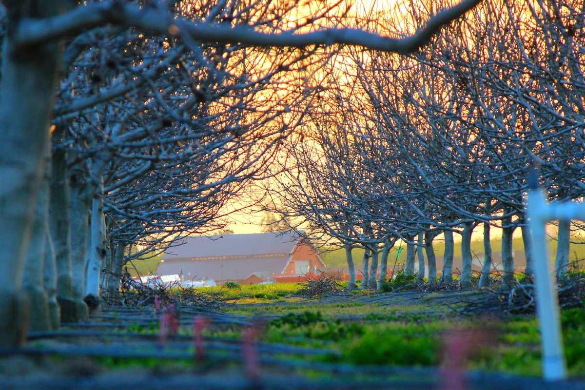 التقنيات الحديثة - 6