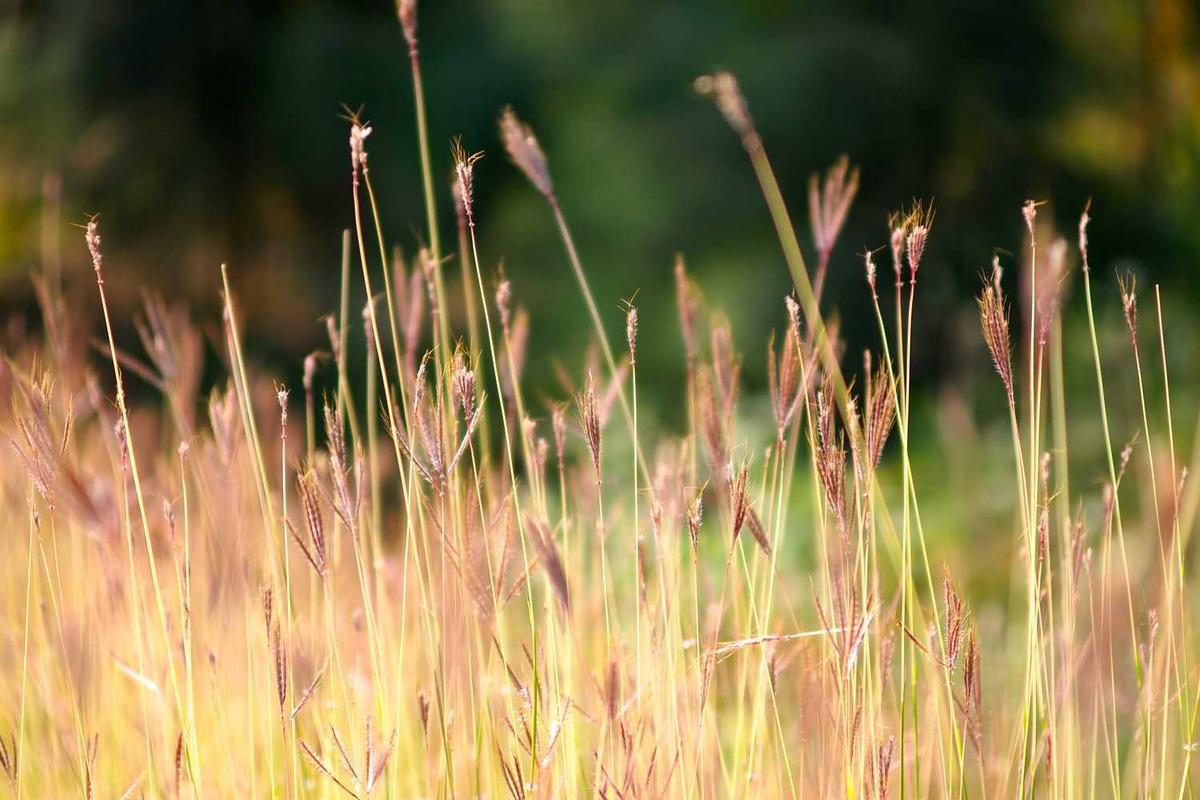 المفاوضات اليمنية - 25