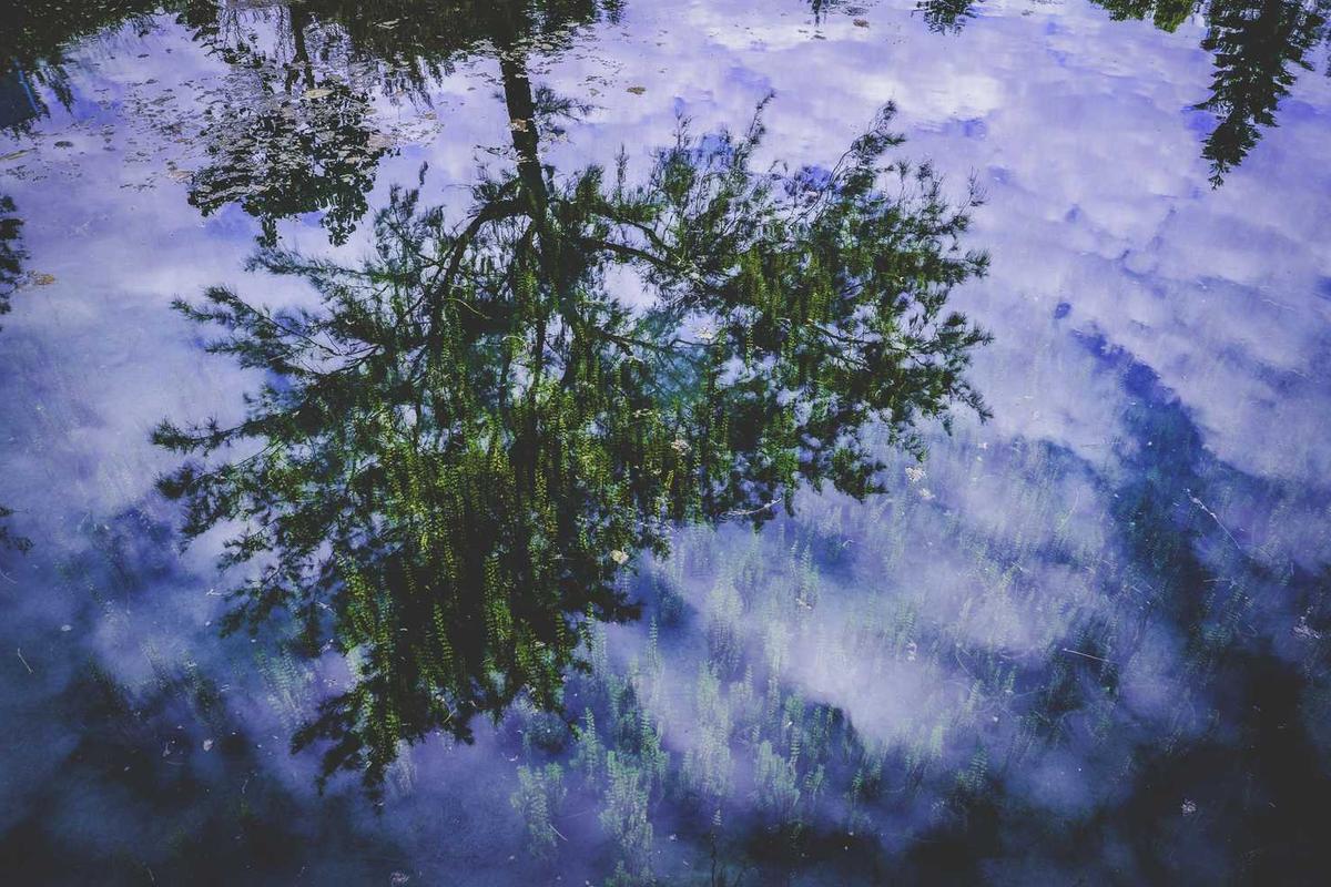 الهواتف الذكية - 40