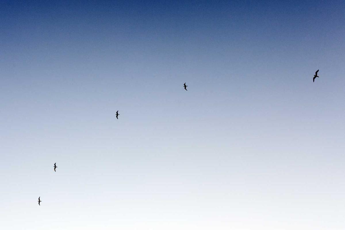 التقنيات الحديثة - 47