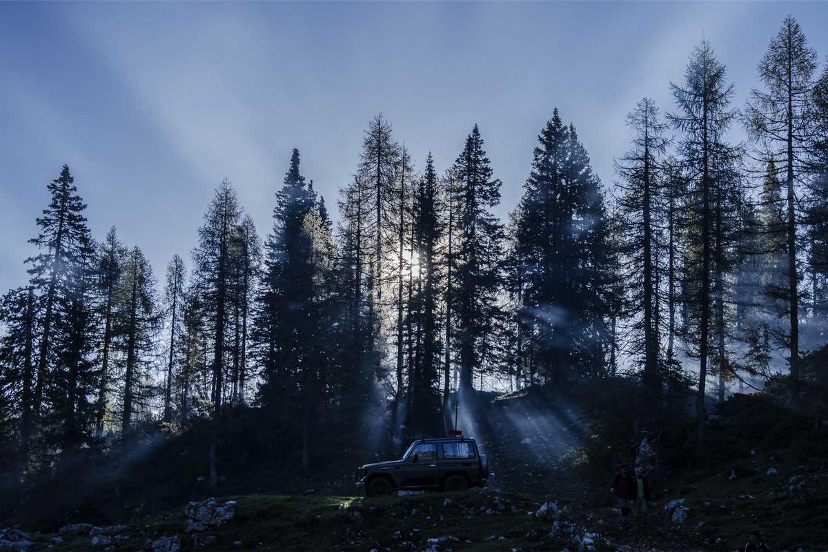 المجلس الانتقالي الجنوبي - 43